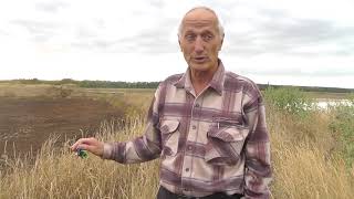 Что такое барда, как она хранилась и что предсказывали люди из Мулловки.