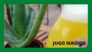 JUGO MÁGICO 100% NATURAL/ gotitadeaguaadm