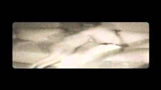 Creepypasta-Daisy's destruction (real)
