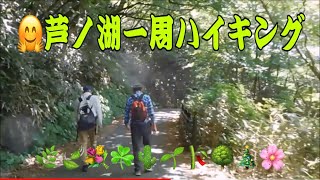 芦ノ湖一周ハイキング