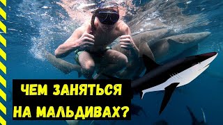 Акулы на Мальдивах 2020 | Скаты, дельфины, локальный остров, необитаемый остров | Лучшая экскурсия