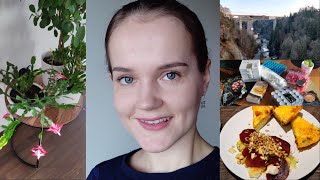 DOSTAŁAM AWANS NIEUDANE ZAKUPY W IKEA MIKROFALÓWKA Z LIDLA VLOG WEEKENDOWY