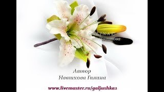 #Галина_Ивашкова. МК ЛИЛИЯ из Х.Ф - полный. Ивашковой Галины.