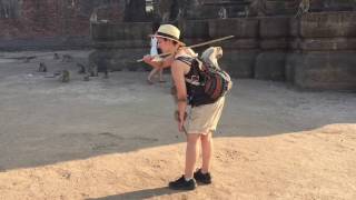 Thieving Monkeys at Phra Prang Sam Yot