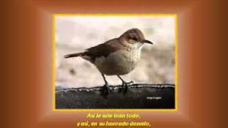 EL HORNERO - LEOPOLDO LUGONES.