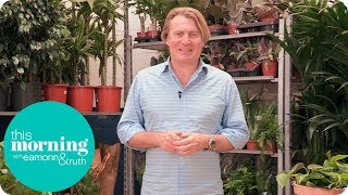The World's First Hotel for Your Houseplants | This Morning