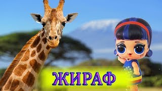 Развивающий Мультик для детей - Жираф -  куклы ЛОЛ  - интересные факты про жирафа