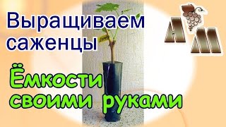 ? Ёмкости (контейнеры) для выращивания саженцев винограда - 2. Как сделать?