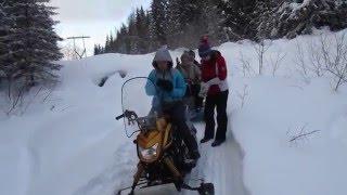 Катание на снегоходе Динго Т 150 с санями