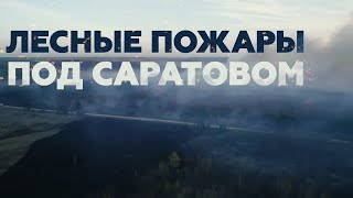 В шести районах Саратовской области горят леса