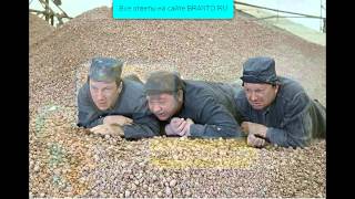 Игра Фотоляпы ответы: 111, 112, 113, 114, 115 уровень