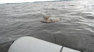 Водяной якорь парашют для торможения лодки
