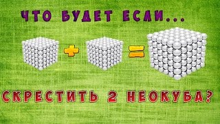 Что будет если скрестить 2 Неокуба???