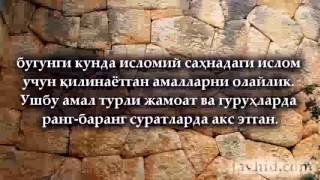 Ҳақиқий муаммо уммат фирқаларга бўлинишидир