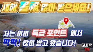 l 볼락루어낚시 l 2020년엔 꼭 가봐야되는 특급포인트 l 볼락낚시는패턴파악 l 사량도볼락 [rockfish,メバル,fishing,angling]
