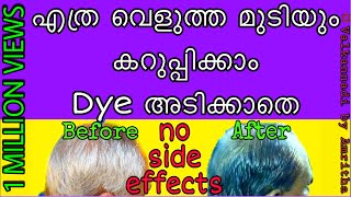 മുടി കറുപ്പിക്കാം നാച്ചുറൽ ആയി || ? #natural_hair_dye || #valkannadibyamritha