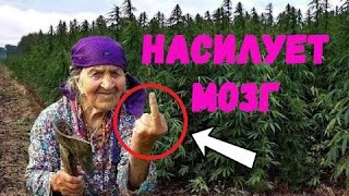 БАБКА НАСИЛУЕТ МОЗГ \ САМАЯ СТАРАЯ ЗВЕЗДА В МИРЕ?