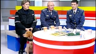 Представители белорусской таможни в программе «Утро. Студия хорошего настроения» на СТВ
