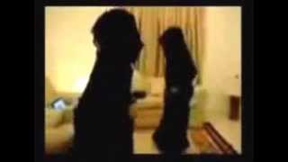 ‫رقص سكسي بالعباية لبنات السعودية  home made  belly dance two  arabic girl belly dance ‬‎
