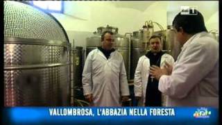 Abbazia di Vallombrosa e il Circuito delle Cappelle - Don Giuseppe Casetta e Maria Teresa Ghinassi