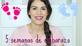 5 SEMANAS DE EMBARAZO - SÍNTOMAS, CÓMO ME ENTERÉ Y MÁS!