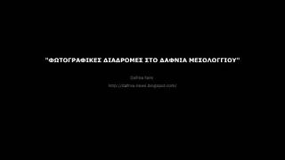 Φωτογραφικές διαδρομές στο Δαφνιά Μεσολογγίου