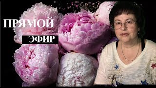 Светлана Портнова №3 - Медитация на восстановление забытых чувств.