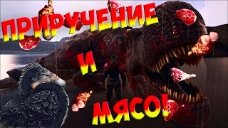 ARK: Survival Evolved - Приручение и Мясо!
