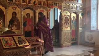 Паломническая поездка в Пронский монастырь.  Видео репортаж Анны Водяковой.