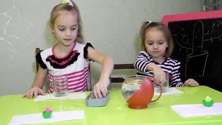 Садим игрушечные кактусы для выращивания в воде/ Planting into water growing cactus toys