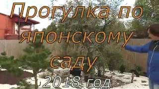 Японский сад в Подмосковье. Прогулка по саду в восточном стиле