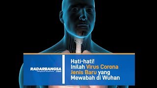 Hati-hati! Inilah Virus Corona Jenis Baru yang Mewabah di Wuhan