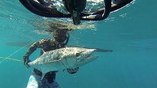 Spearfishing big mackerel in Thailand 2014 HD Подводная охота в Таиланде на Макрель 2014