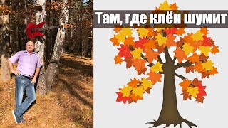 Анатолій Войтік - Там, где клён шумит [COVER VERSION]