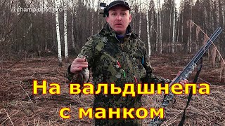 На вальдшнепа с манком #3
