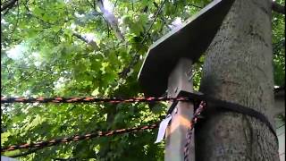 homemade treestand