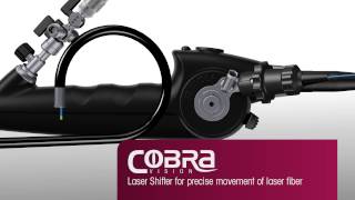 Flexible sensor ureterorenoscopes BoaVision and CobraVision from Richard Wolf