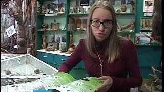 «Берендей»: Карельские школьники приняли участие в экологической олимпиаде