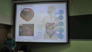 Физиология человека и животных - часть 1