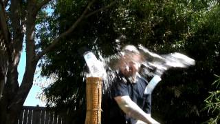 SAMURAI KATANA SLOW MOTION CUTS, TAMESHIGIRI-NINJA STYLE!