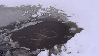 Мой (бульбулятор).Аэратор!!! Для пруда.