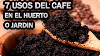 7 Usos Del Cafe En El Huerto O Jardin || La Huertina De Toni
