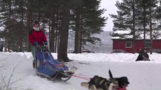 Troms Quest 2010