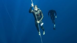 Пропала известная спортсменка, глава Федерации фри дайвинга России Наталья Молчанова
