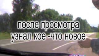 Солёный огурец.О закуске.