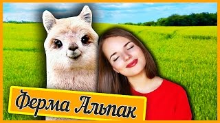 САМЫЕ НЯШНЫЕ СУЩЕСТВА ♥ Ферма Альпак