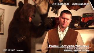 Медвежья желчь ее лечебные свойства, где купить, применение.
