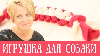 ★ Игрушка ★ для собаки / кошки | своими руками рукавички