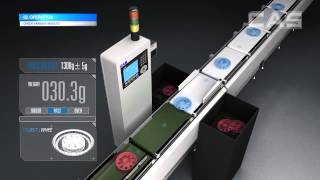 CAS' Check weigher (EN)