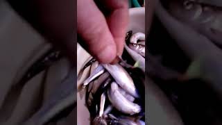 лучшие блесна самосвалы на корюшку из двух металлов